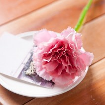 한송이 카네이션 가지 55cm 조화 꽃 어버이날 FAICFT, 뷰티