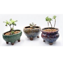 도자기 T8910 감성도자기화분 국내산 기품있는도자기, T8