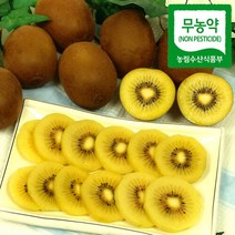 푸르젠 [해남직송] 무농약 골드키위(해금) 5kg/개당 50g~69g 소과, 단품없음