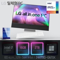 LG 일체형PC(12세대) 24V70Q-GA70K [이벤트 한컴오피스 증정], 24V70Q-GA70K 램16GB + SSD2TB