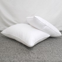 웰케어 베개솜 일반형 2p, 화이트, 2개