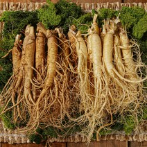 농가살리기 수삼 햇 난발수삼 세척삼 흙수삼 375g 500g 750g 골라담기, 선물세트 세척삼 (500g), 1개