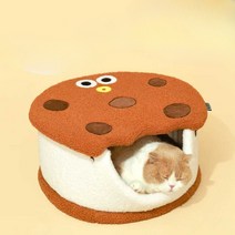 쿠키 귀여운 재밌는 비스킷 애완동물 고양이 하우스