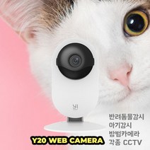 YI20 CCTV 카메라 IP카메라 웹 카메라 핸드폰으로 바로 모니터링 강아지캠 고양이캠 방범용