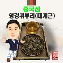 중국산 엉겅퀴뿌리(대계근) 600g (경북 영천) 수입산 수입