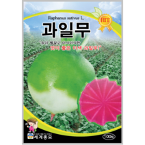 과일무 씨앗 200립/무종자 이색무