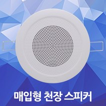 천장 실링 스피커 원형 매입 매립 아파트 원룸 공공기관 호텔 콘도 객실 회사 병원 학교 관공서 식당 사무실 매장 벽 안내방송 1W 3W 천장형스피커 매립형스피커 아파트스피커, 07.HASO 4인치 천정형 스피커 원형 3W