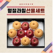 [프리미엄 명품 과일] 실속 사과 배 혼합 세트 4.0kg 설 선물 세트 산지직송, (사과5+배5)