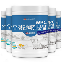 WPC유청단백질분말100% 300g통 미국산 HACCP 인증제품, 4+1통, 300g