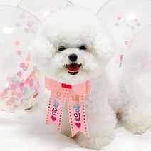 핑크캔디 강아지 고양이 리본화환 생일파티 강아지화환, 리본화환(컬러밴드)_빨강(오로라)