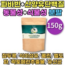 자이언트 파바빈 콩 분말 가루 산양유단백질 동물성 식물성 단백질 프로틴 잠두콩 1통 150g 홈쇼핑 고함량 PROTEIN FABABEAN 100% 식이섬유 콜린 엘도파 락토페린추출물 람노스 루테리 누에콩 마마콩 먹는법