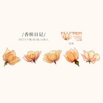 스티커세트 다이어리 꾸미기 새해 다꾸 폰꾸 스티커 세트 용품 빈티지 대형 식물 애완 동물 방수 스티커 팩, 06 F