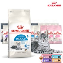 로얄캐닌 캣 인도어 7+ 1.5kg 7세이상 신장 요로관리 변냄새감소 실내 노령묘사료, 간식/지퍼백등 증정, 2024.07