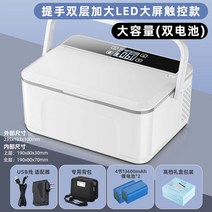 주사보관냉장고 휴대용 인슐린 시약 자동차 충전 가정용 의약품 여행 캠핑용, L사이즈(20시간 지속)