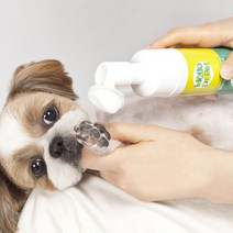 헬로우닥터펫 강아지 발 세정제 비누 샴푸 관리 세척 16가지 식물유래성분 150ml 대용량, 워터리스 풋 클리너
