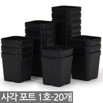 20구 연결포트 - 사각포트 연결구 모종판 포트 모종 트레이 재배 씨앗 다육포트 묘목 모판 화분 다육이, 04_세인_사각포트(1호) x 20개