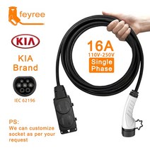 전기차 충전기 차량 Feyree 측면 방전 플매트 카펫 러그 EV 타입 2 16A 케이블 EU 소켓 야외 발전소 V2L 지원 필요, [03] KIA Brand Car, [01] Type2