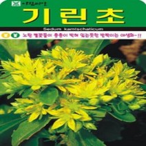 AR 기린초 씨앗 중포장 건조지의 강자 10000립