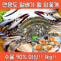 연평도 알배기 암꽃게 활꽃게 1kg (수율 90% 이상), 활 암꽃게 1kg(3~5마리), 1개