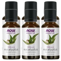나우푸드 퓨어 에센셜 방향아로마오일 유칼립투스, 6개, 30ml