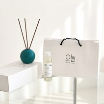 오늘 도자기 디퓨저 디퓨져 방향제 집들이 부모님 어버이날 카네이션 선물세트, 베이지 핑크, 쇼핑백+꽃 리드, 오후 4시