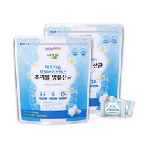 락토리움 [락토리움] 프로바이오틱스 츄어블 생유산균 120정, 1