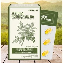 파이토랩 프리미엄 위대한 매스틱 매스틱검 에센셜오일 500mg 30캡슐, 1box