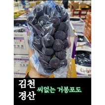고당도 씨없는 거봉포도 김천 경산원산지 1kg부터 ~, 500g, 4개