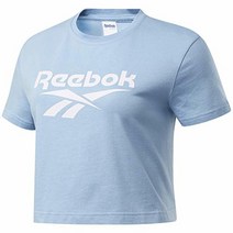 리복 Reebok 클래식 벡터 크롭 티 라이트 그레이 헤더 XS 675711