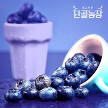 2023년 고창 블루베리 생과 로얄특상 3kg 250g 12팩
