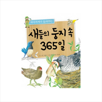 새들의 둥지 속 365일 : 새아저씨가 들려주는, 현암사