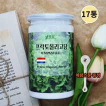네덜란드 프락토올리고당 분말 신프리바이오틱스 유산균분양 갈락토올리고당 이눌린 350g17통, 상세페이지 참조, 상세페이지 참조