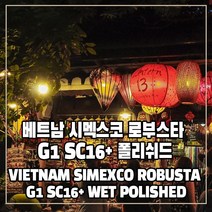 (커피생두) 306 베트남 시멕스코 로부스타 G1 SC16+ 폴리쉬드 1kg, 1개