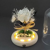 [더라임코리아] 문구 각인 LED 먼로 장미 무드등 DIY 만들기 키트, 색상:화이트_폰트1(배송메세지)