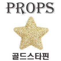골드스타핀 파티용품 파티소품 패션잡화 의상소품 유아동 브로치 조형물제작/데코전구/산타복/페이퍼크래프트/종이공예/환경미화/벽걸이조화/테라리움/유리받침/마크라메