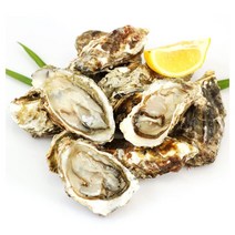 국내산 싱싱 석화 10kg 생식 구이용, 1box