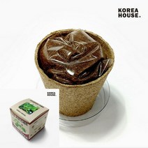 TYDL 강낭콩 키우기세트