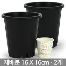 원형 플라스틱 재배분 17 X 19cm - 화분 플분 녹차 양란 난화분 란화분 난재배분 양란화분 난재배 녹차재배분 긴화분, 02_청운_재배분(5호) X 2개