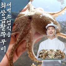 삼시세끼연구소 국내산 활 쭈꾸미 생물 국산 태안 활쭈꾸미 1kg 1키로 2kg 알배기 알쭈꾸미 사전예약 주꾸미 산지직송, 3_국산 활쭈꾸미 3kg