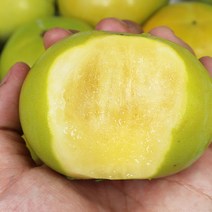 경남 창녕 태추단감 4.5kg 로얄, 없음, 상세 설명 참조