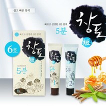 반창고닷컴 중외제약 창포단 5분 6호 자연진갈색 50g 친환경 프리미엄 새치염색약