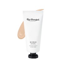 비알워터풀 블레미쉬 밤 비비크림 40g, 내추럴 22,3호, 1개