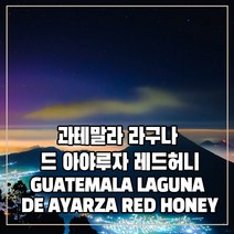 (커피생두) 57 과테말라 라구나 드 아야루자 레드허니 1kg