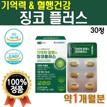 제약회사 기억력 개선 코오롱 징코 플러스 1개 30정 약 1개월 비타B 비타민 B군 비타민비 에너지 영양제 은행잎 추출물 직장인 부모님 선물 아연 면역 징크 리얼 GINKGO 혈행, 1개(1개월분)
