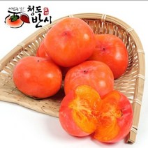 쭌이네 산지직송 달콤한 청도반시 5kg(후숙상품), 1통, 청도반시 5kg(41-45과)