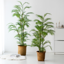 조화나무 인테리어 조화장식 인조 겐차야자 100cm, 겐차야자 190cm