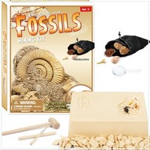 화석발굴키트, 상세페이지 참조, 상세페이지 참조