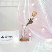홀로그램 원단 촬영용 사진뒷배경 촬영용천 배경막, 화이트, 1개