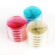 생배지 로닥플레이트(Rodac Plate) 표면의 균 검사 50plates, 진균(SDA)