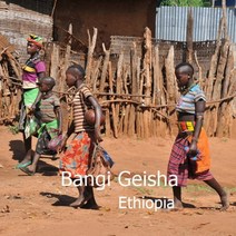 [위트러스트] 에티오피아 방기 게이샤 200g Ethiopia Geisha, 모카포트